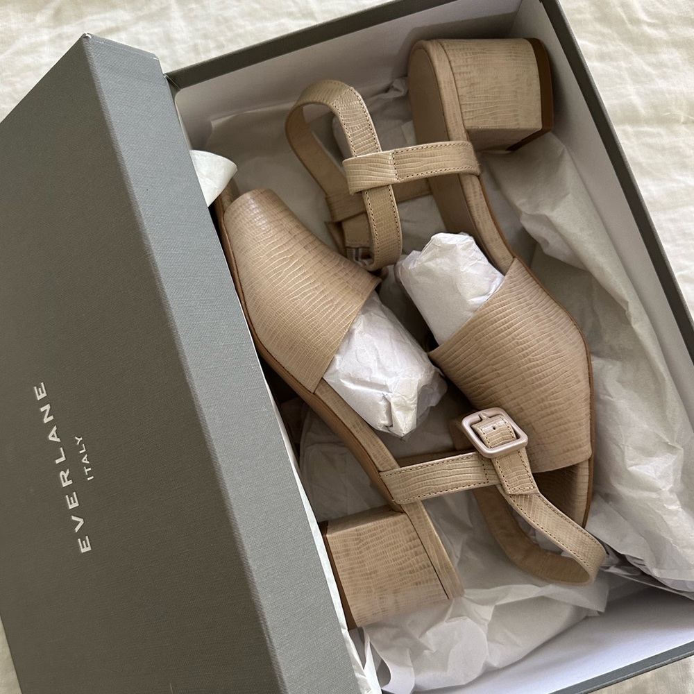 Everlane The Block Heel Sandal